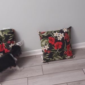 (2) Chase cushions (reverseable), (4) chair cushions, (2)toss pillows